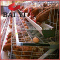 Cage de couche / équipement de volaille de cage de poulets de chair pour la ferme de poulet